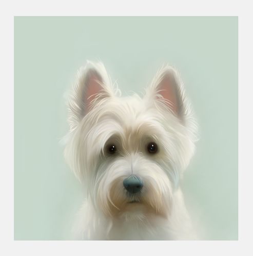 Whiskey Signed art print by Stephen Hanson