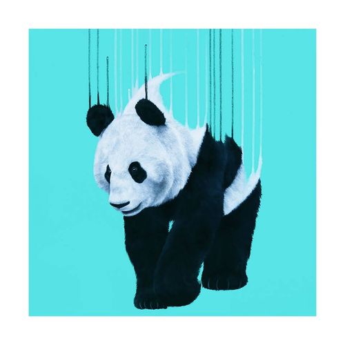 Panda Pour-Turquoise Art print by Louse McNaught