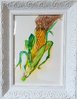 'CORN STAR' by Melanie Jacobs