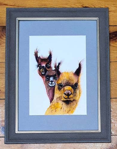 Llama Drama ll By Melanie Jacobs