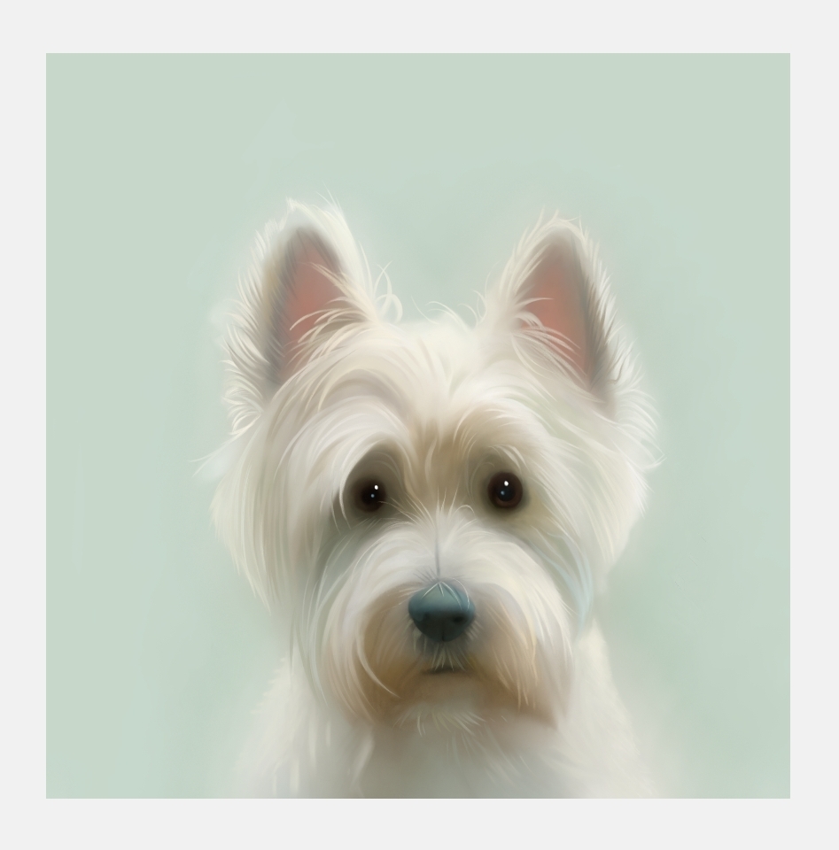 Stephen Hanson Art Prints