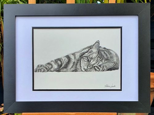 'Catnap' By Melanie Jacobs Original Drawing