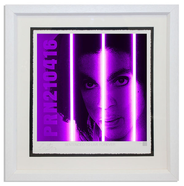 Prince / Life Series Framed Art by Courty