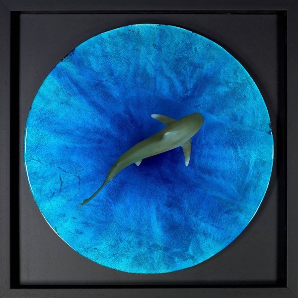 The Great Blue by Nick Oneill Framed Edition